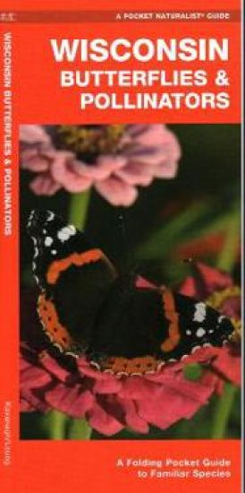 Wisconsin Butterflies & Pollinators