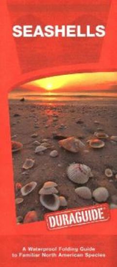 Seashells, 2nd Ed