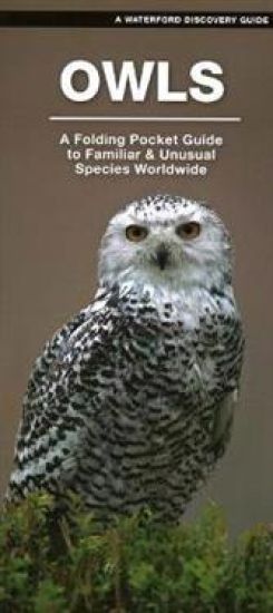 Owls