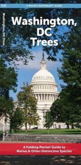 Washington, DC Trees