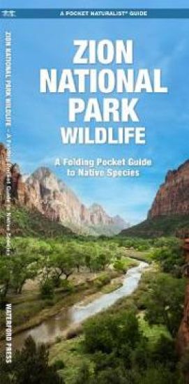 Zion National Park Wildlife