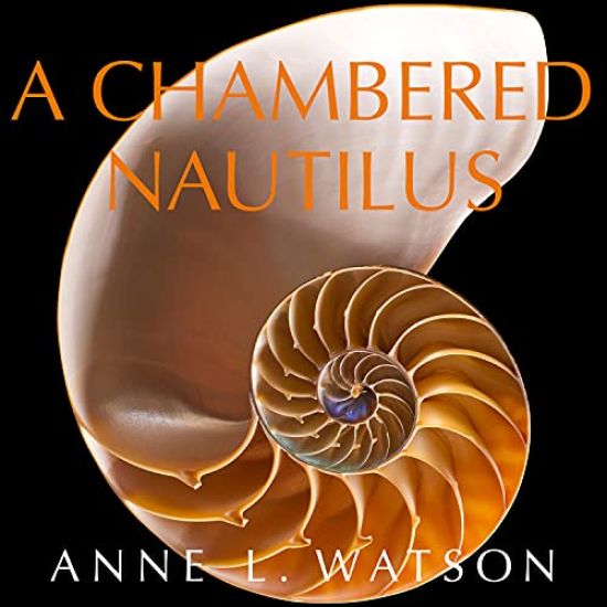 A Chambered Nautilus