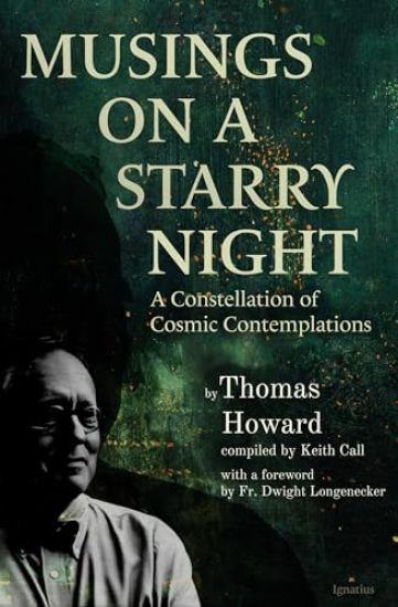 Musings on a Starry Night: A Constellation of Cosmic Contemplations