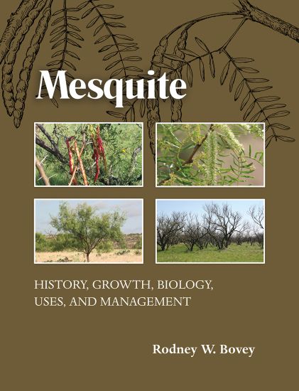 Mesquite