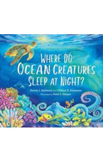 Where Do Ocean Creatures Sleep at Night?