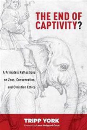 The End of Captivity?