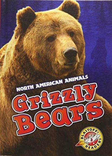 Grizzly Bears