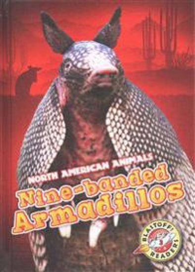 Nine-Banded Armadillos