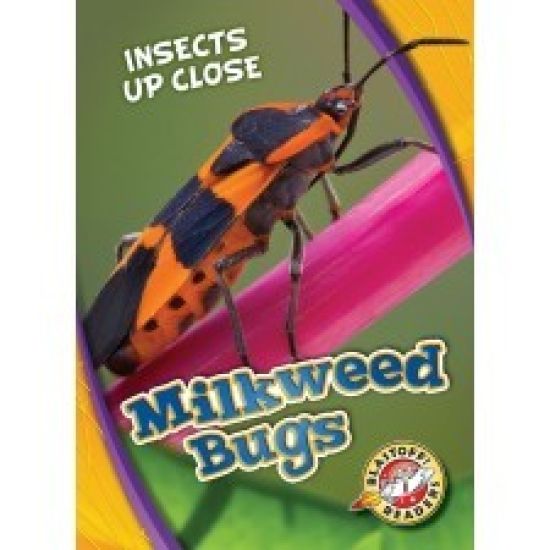 Milkweed Bugs