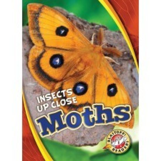 Moths