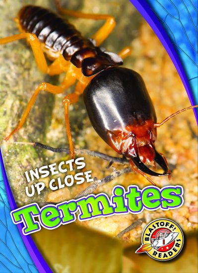 Termites