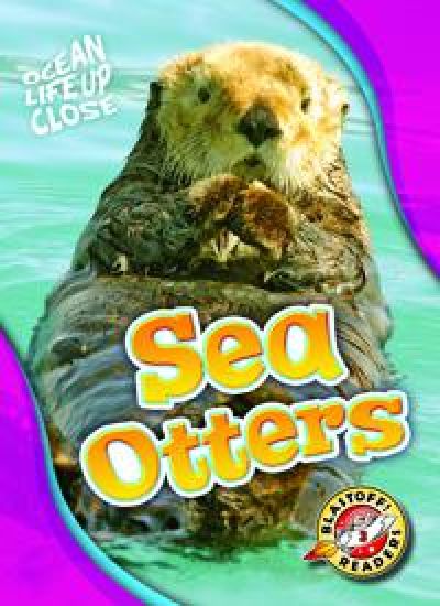 Sea Otters