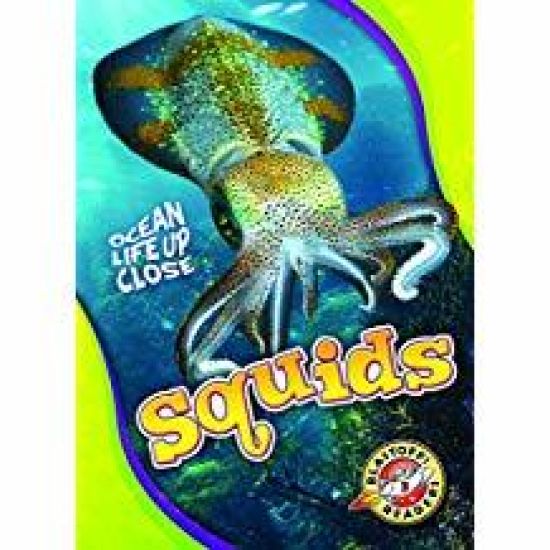 Squids