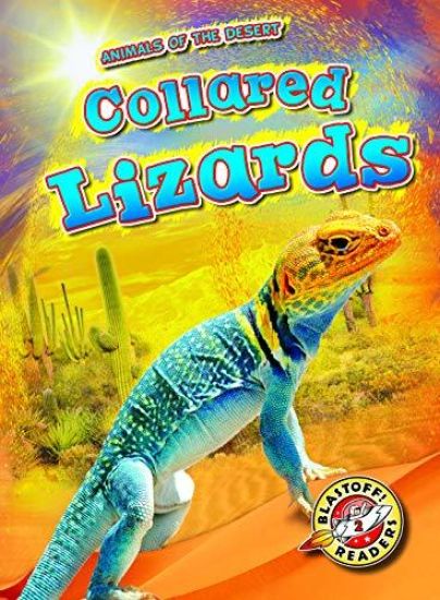 Collared Lizards