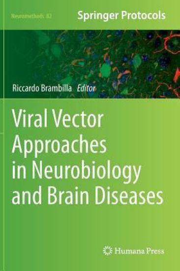Viral Vector Approaches in Neurobiology and Brain Diseases