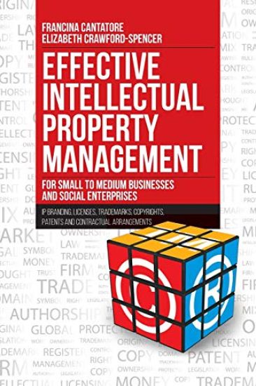 Effective Intellectual Property Management for Small to Medium Businesses and Social Enterprises