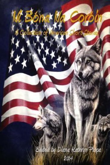 Ni Bona Na Coroin: 2014: A Collection of American Short Stories