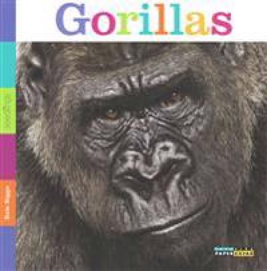 Seedlings: Gorillas