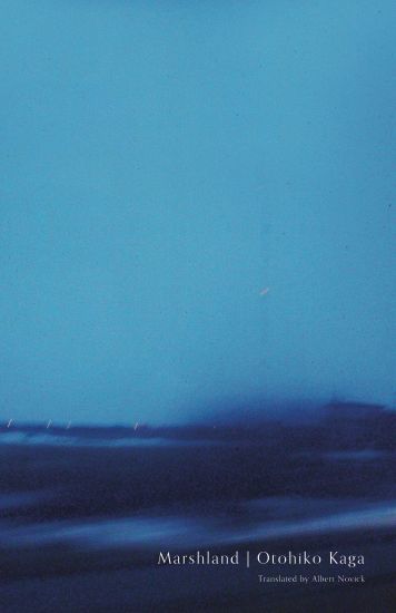 Kansikuva: Marshland
