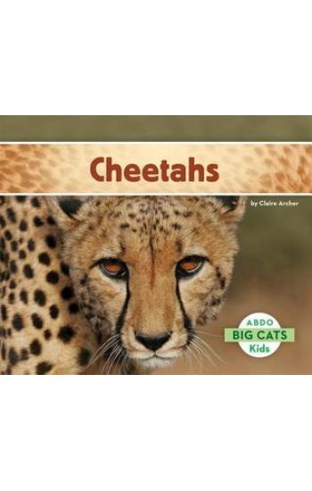 Cheetahs