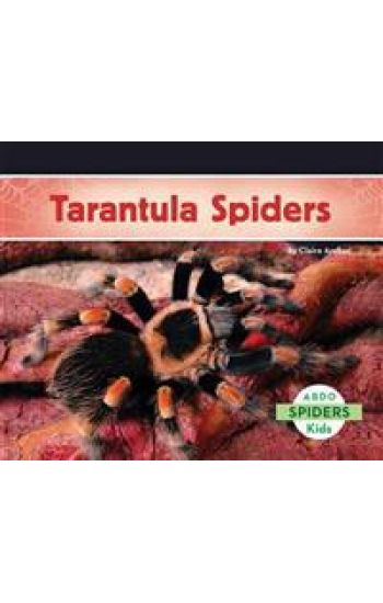 Tarantula Spiders