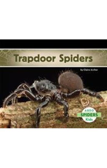 Trapdoor Spiders
