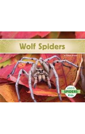 Wolf Spiders