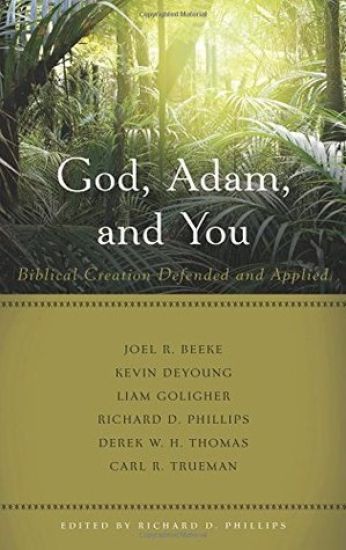 God, Adam, and You