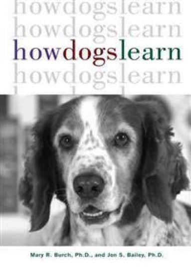 How Dogs Learn