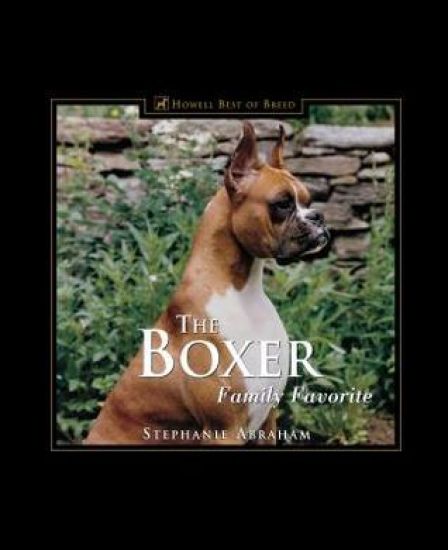 The Boxer