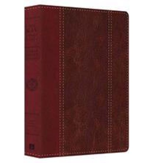 Large Print Study Bible-KJV