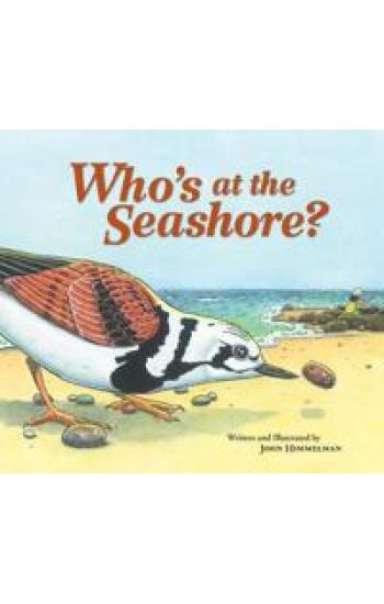 Who's at the Seashore?