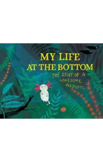 My Life at the Bottom