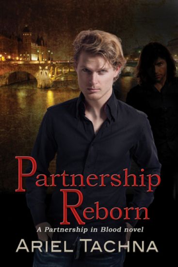 Partnership Reborn Volume 9