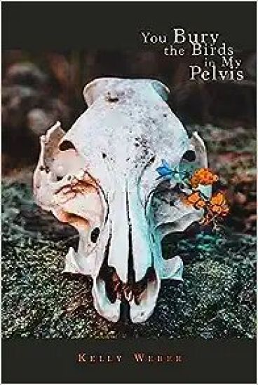 You Bury the Birds in My Pelvis