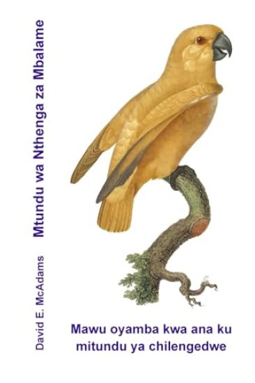 Mtundu wa Nthenga za Mbalame