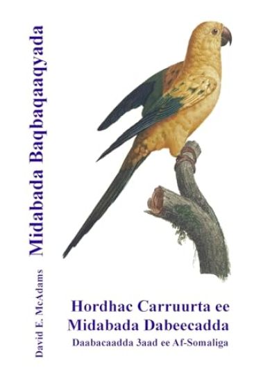 Kansikuva: Midabada Baqbaqaaqyada