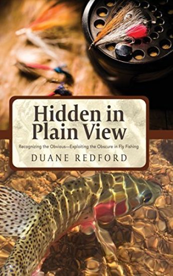 Hidden in Plain View