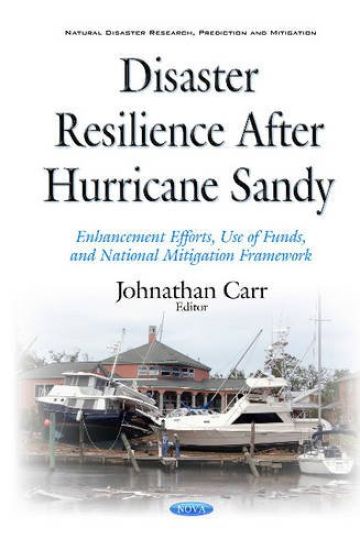 Disaster Resilience after Hurricane Sandy