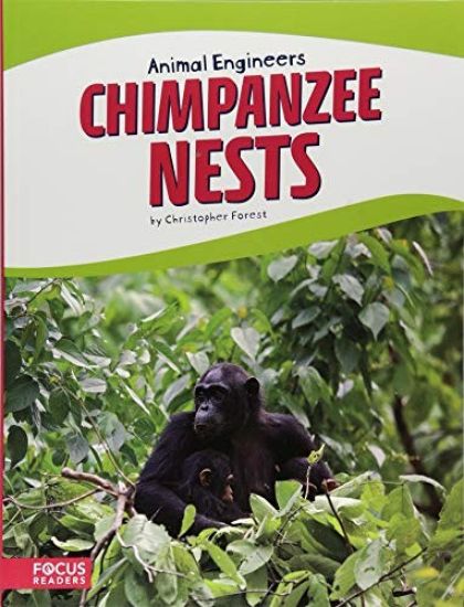 Chimpanzee Nests
