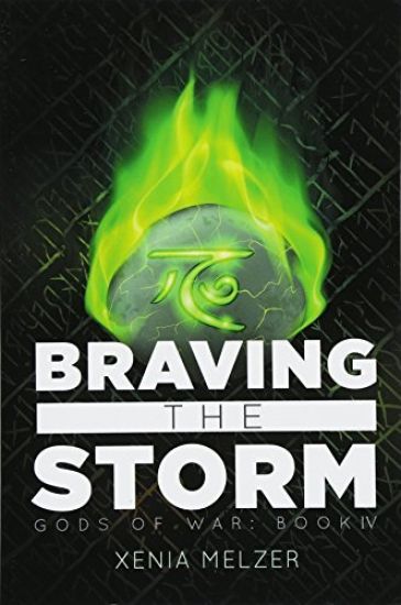 Braving the Storm Volume 4