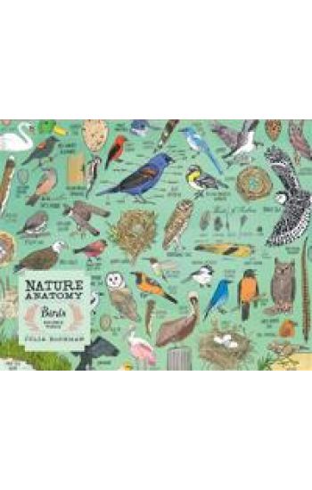 Nature Anatomy: Birds Puzzle (500 pieces)