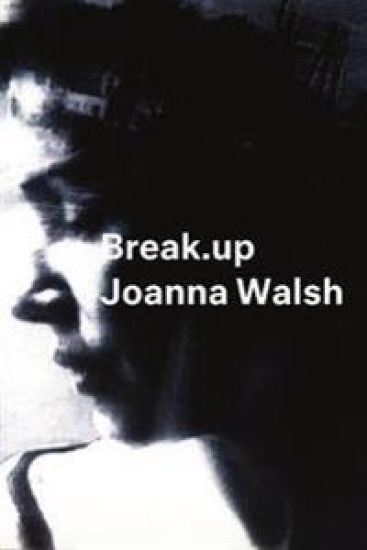 Break.up - A Novel in Essays