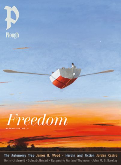 Plough Quarterly No. 41 - Freedom