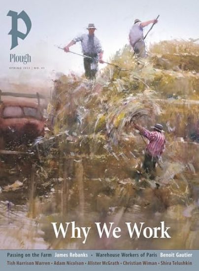 Plough Quarterly No. 43 – Why We Work