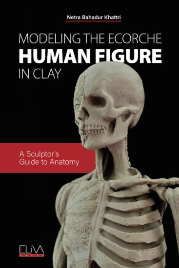 Modeling the Ecorche Human Figure in Clay