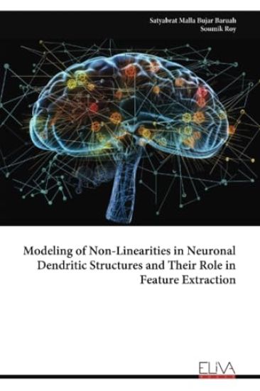 Modeling of Non-Linearities in Neuronal Dendritic Structures and Their Role in Feature Extraction