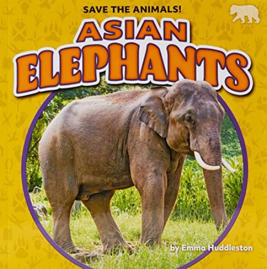 Asian Elephants