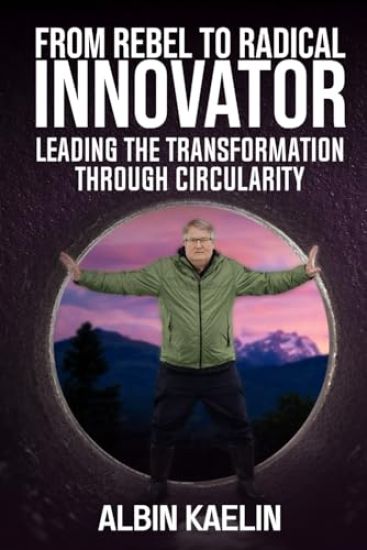 From Rebel to Radical Innovator