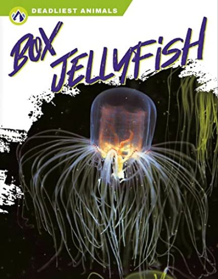 Box Jellyfish